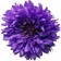 This image has an empty alt attribute; its file name is Chichester-cornflower.jpg
