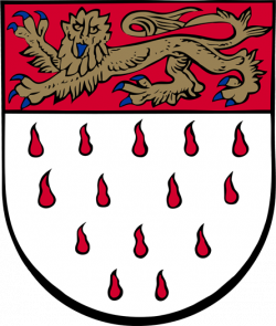 Chichester City Council - Coat of Arms