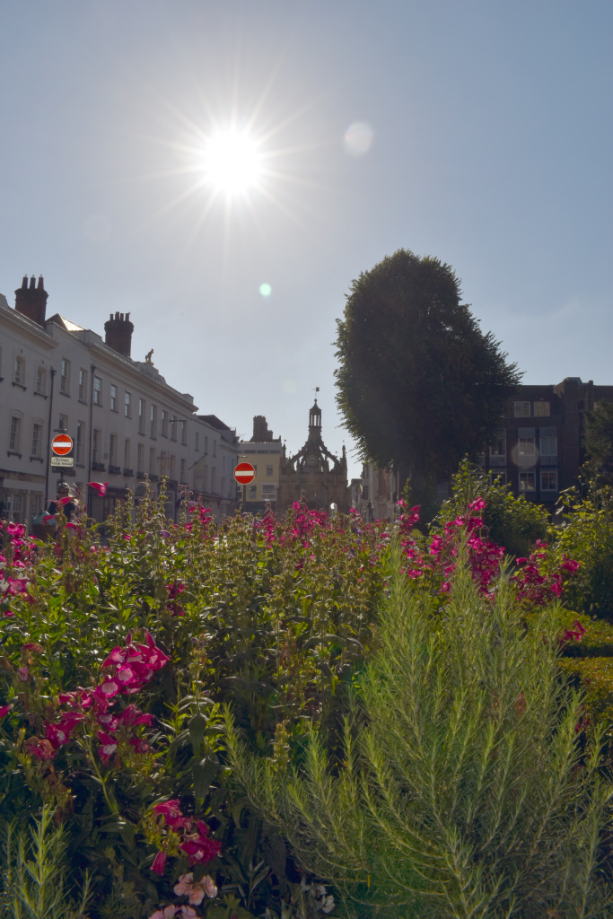 Cathedral beds - wildflower planting - facing east - Market Cross in the background