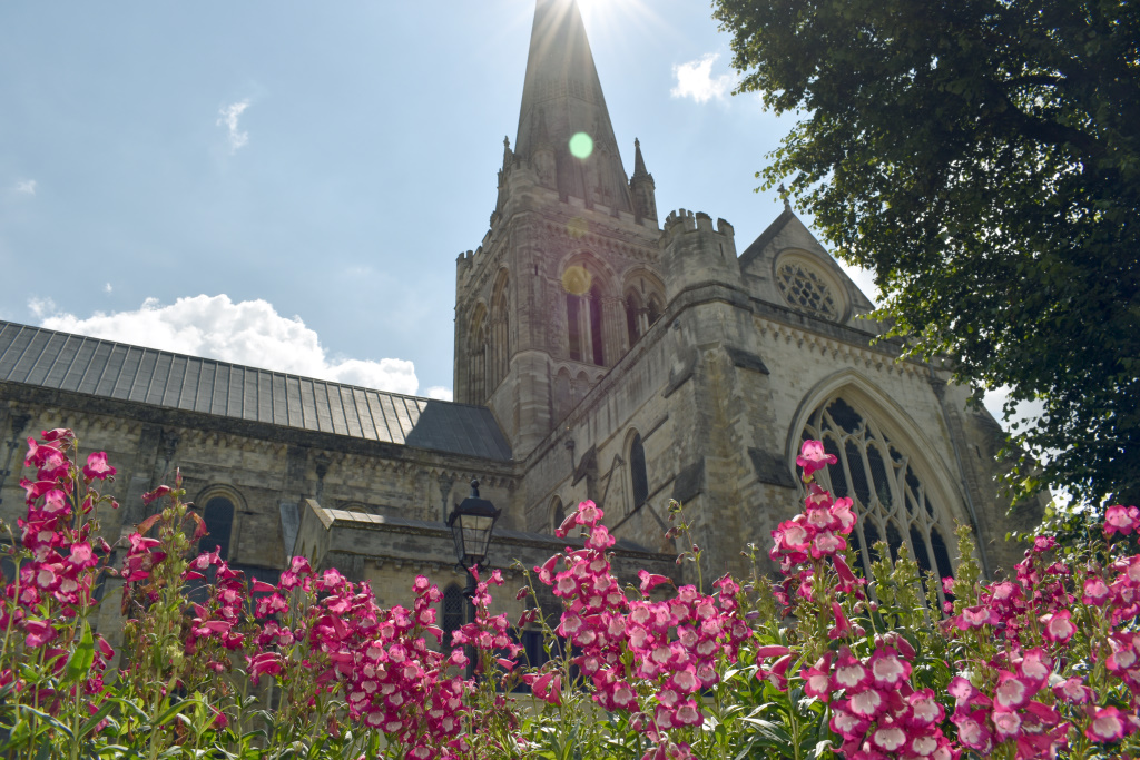 City Floral - Cathedral beds - pink flowers - cathedral in background