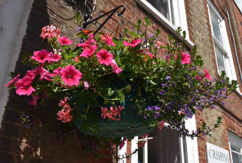 Image showing an example of Chichester City Council floral planting - hanging baskets - Crispins cafe, East Street, Chichester