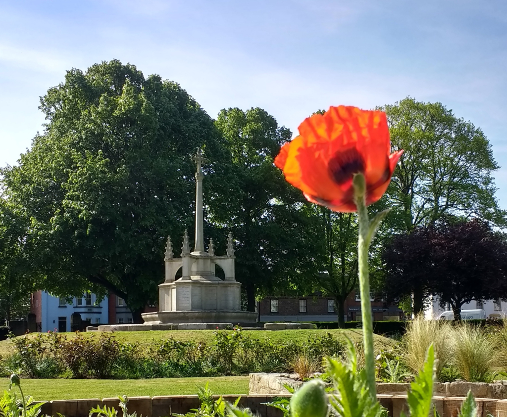 View of the War Memorial, Litten Gardens, with a flowering poppy in the foreground