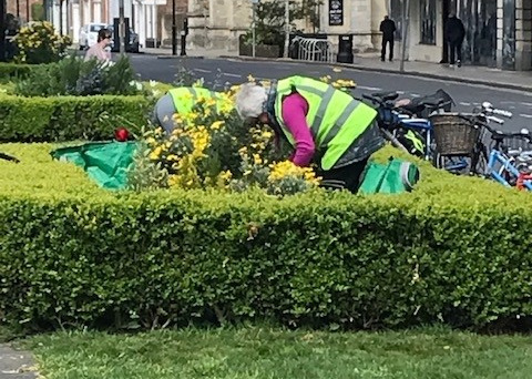 Photo showing volunteers helping replant Chichester Cathedral flower beds - April 2022