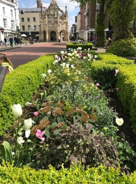 Photo showing the replanted Chichester Cathedral flower beds - April 2022