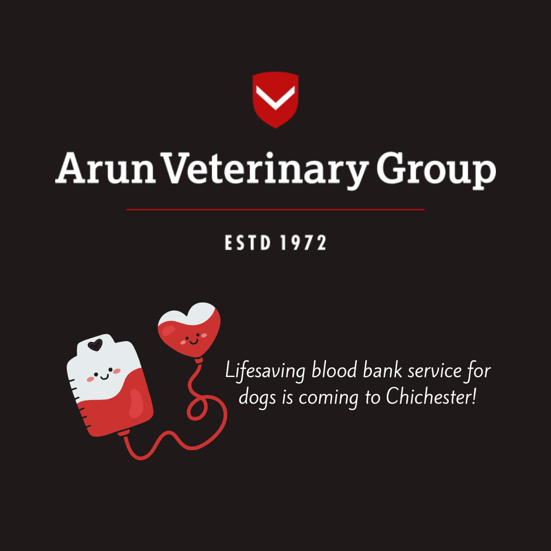 Arun
